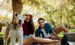 Pet Park